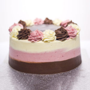 Neapolitan Cake