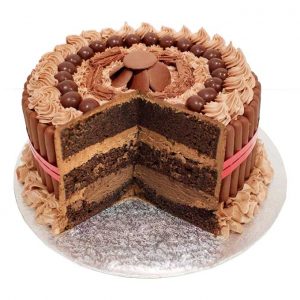 Piece-of-cake-Chocoholic-cake-(new)-inside