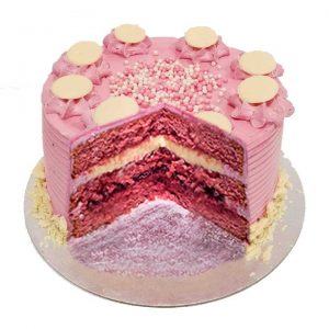 Piece-of-cake-Rasberry-and-White-chocolate-cake-(cut)