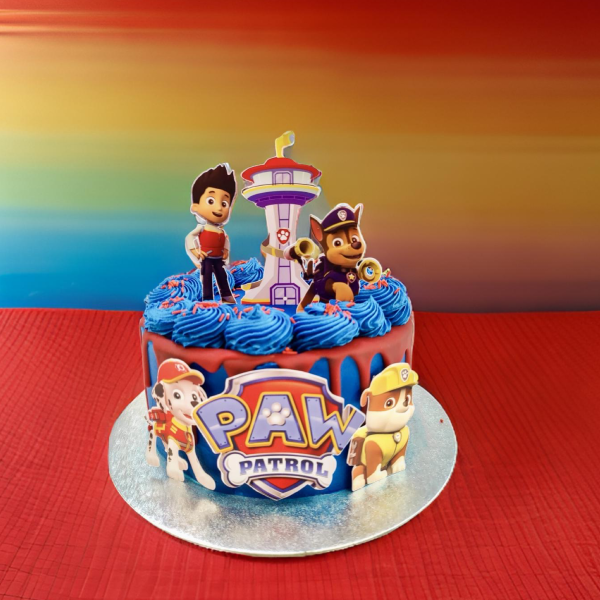 Blue & Red Paw Patrol