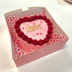Mini Valentine's Bento Cake- Pink & Red